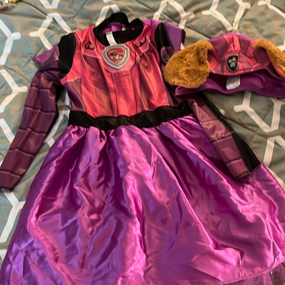 Paw Patrol the Movie costume